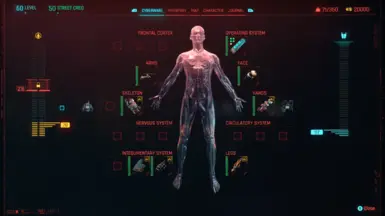 Cyberware (Default)