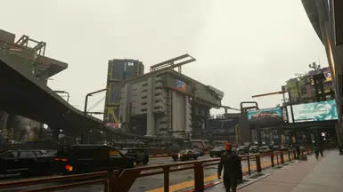 Squat Morning (Rain)