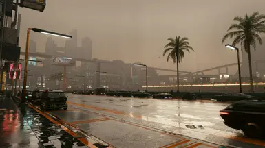 Rain
