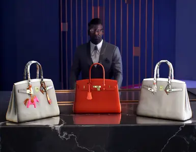 Handbag Selection - Birkin Bags
