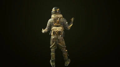 Militech Soldier (gloves included)