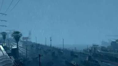 Rain