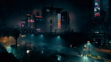 Rainy night