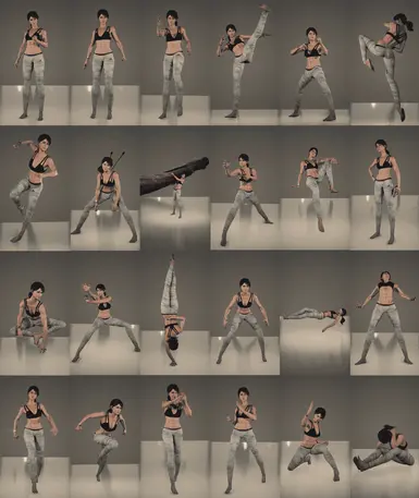 fem V 