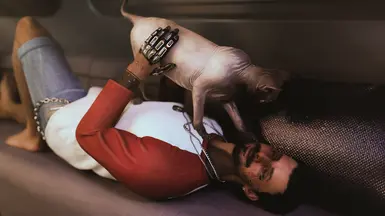 Zink &lt;3