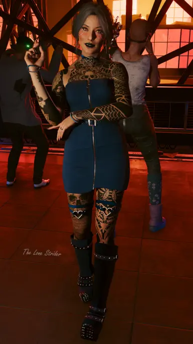 TheLoneStrider