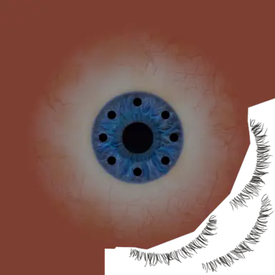 Compound Eyes 06