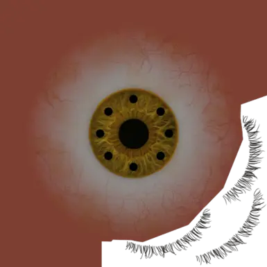 Compound Eyes 11