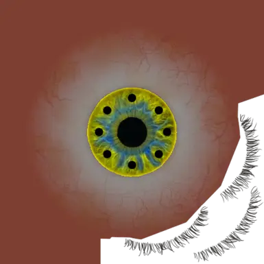 Compound Eyes 12