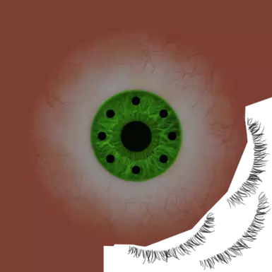 Compound Eyes 14