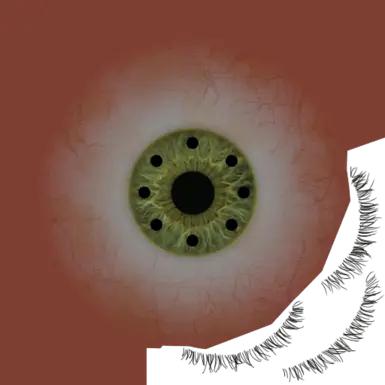 Compound Eyes 22