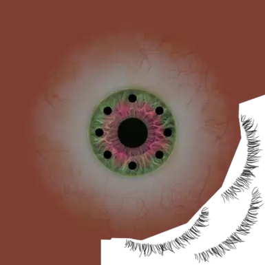 Compound Eyes 27