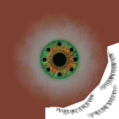 Compound Eyes 31