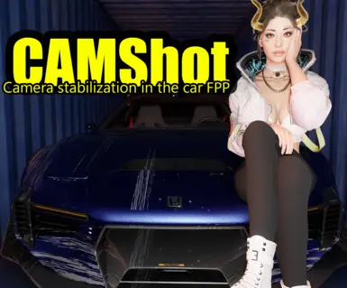 CAMShot - FPP Car Camera Stabilization