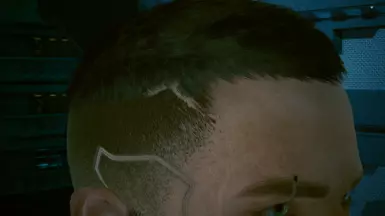 Head scar restored