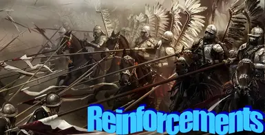 Reinforcements System