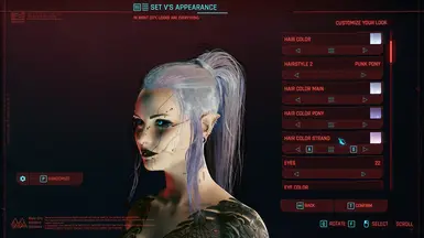 Punk Pony