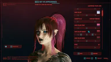 Fantasy Braids