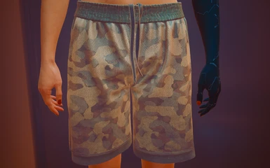 Gym Shorts Color Variants for Male and Female V at Cyberpunk 2077 Nexus ...