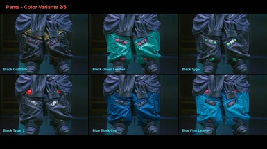 Pants - Color Variants 2/5