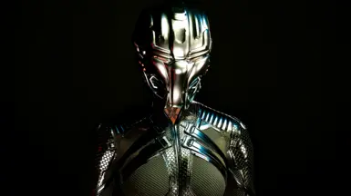 Silver Fem V