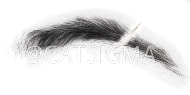 The scar by catsigma