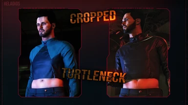 (CLOTHES) CROPPED - Turtleneck