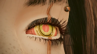 Eye 3 - Kiroshi Becca's edition