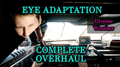 Eye Adaptation Complete Overhaul - Auto Exposure Fix - Diverse Weather Variant - Optionally Disable Sharpening and Disable Vignette