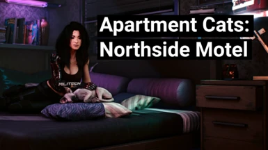 Apartment Cats - Northside Motel