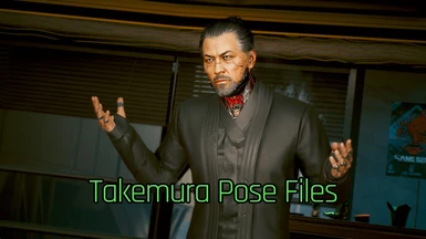 Custom Takemura Pose files