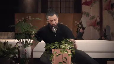 plants!