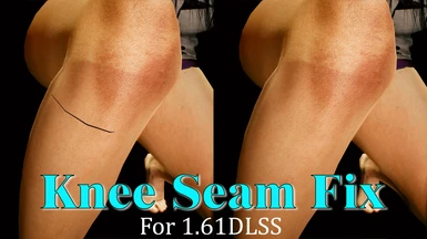 -KS- Knee Seam Fix for 1.61DLSS