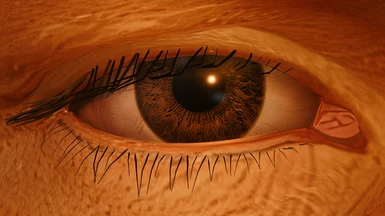 Alternative Eye Material