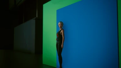 Photo Studio: Wall (GreenScreen + BlueScreen)