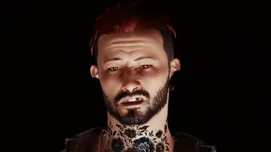 Photomode Facial Expression Mega Pack - Masc and Fem at Cyberpunk 2077 ...