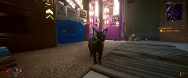 concept (yellow-green eyes)