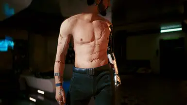 The Arm Scar is from (Monk Scars) works with non arm changing bodies