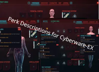 Perk Descriptions for Cyberware-Ex