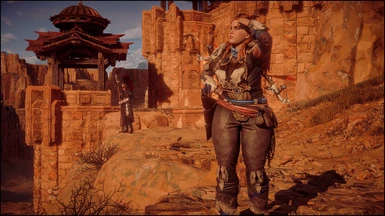 Aloy the Chubby Shield Weaver