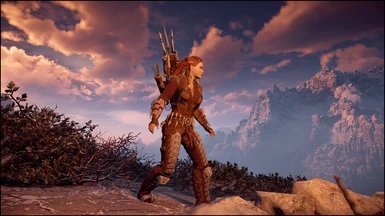 Beautiful armor, free of unnecessary trinkets, perfectly fitting the atmosphere of the game. It resembles a trapper's outfit.