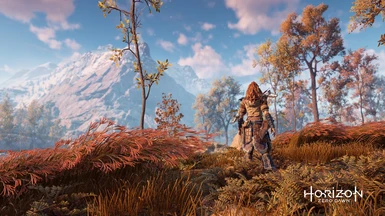 Horizon Zero Dawn Complete Edition - Complete Savegame including Frozen Wilds and all Datapoints NG Plus ready with Facepaints and Focus Effects unlocked
