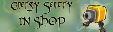 Energy Sentry In Shop
