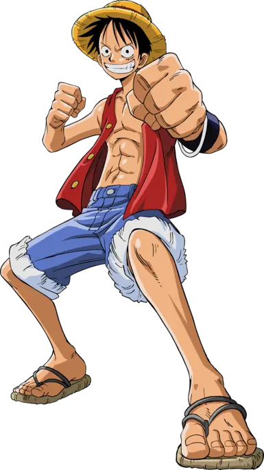 luffy roupa 6, Wiki