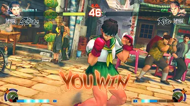 Cammy Bare Skin Costume 4 at Ultra Street Fighter IV Nexus - Mods and  community