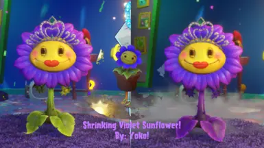 Shrinking Violet Sunflower