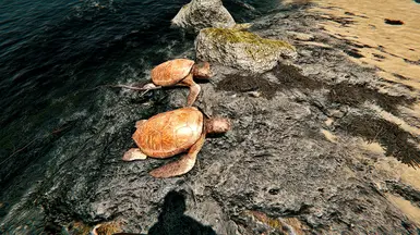 Crimson Hollow 1.0