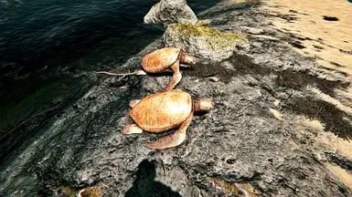 Crimson Hollow brighter 1.0