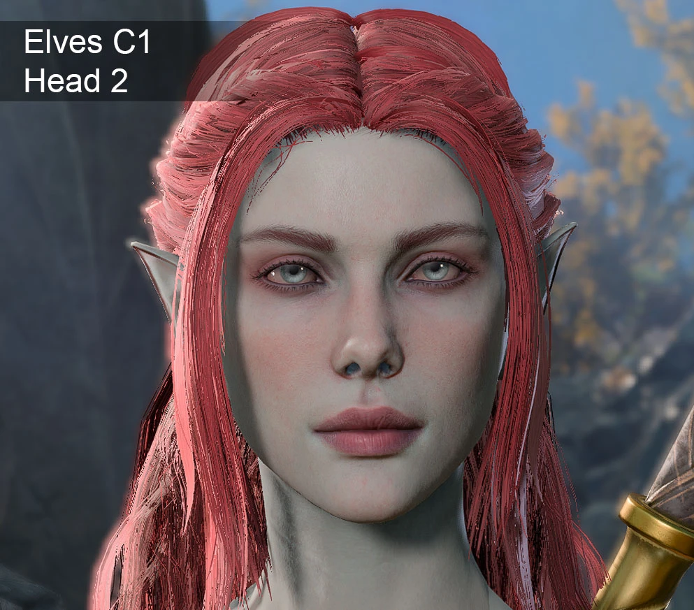 Other Heads For Your Character At Baldurs Gate 3 Nexus Mods And