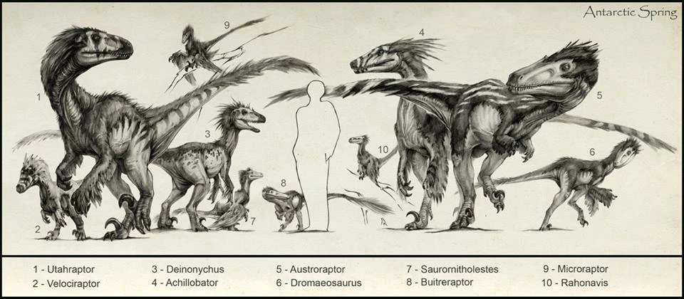 Steam Workshop::Ark: Survival Evolved - Utahraptor And Deinonychus